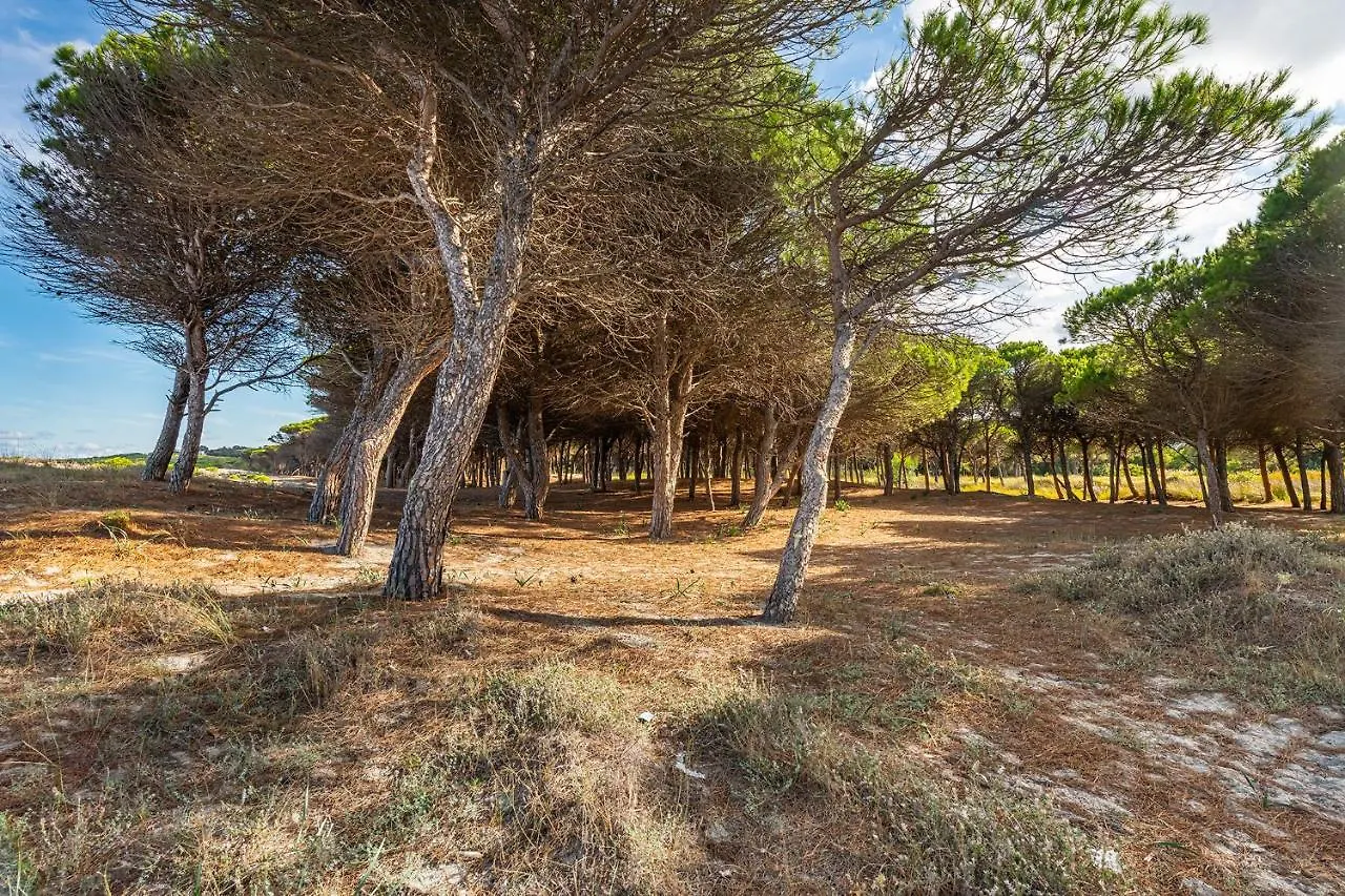 Affittasardegna-Case Pompia Siniscola Italy
